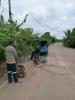 งานป้องกันฯ สำนักปลัด ออกดำเนินการปะถนน สายชุมนุมสูง-โพธิ์ไท