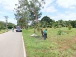 งานป้องกันฯ สำนักปลัด ออกปฎิบัติงานออกตัดต้นไม้