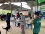 ดำเนินการฉีดวัคซีนป้องกันโรคพิษสุนัขบ้า (สุนัขและแมว) ภายใต้