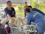 ลงพื้นที่มอบวัคซีนและฉีดวัคซีนป้องกันโรคพิษสุนัขบ้า สำหรับพื