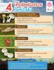 เรื่อง “ 4 เห็ดพิษอันตราย ในหน้าฝน ”