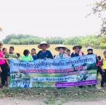 โครงการเรียนรู้ภูมิปัญญาท้องถิ่น (ดำนา,เกี่ยวข้าว) ณ ศูนย์กา