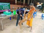 ดำเนินการฉีดวัคซีนโรคพิษสุนัขบ้า พื้นที่หมู่ที่ 9