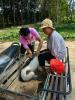 ดำเนินการฉีดวัคซีนโรคพิษสุนัขบ้า พื้นที่หมู่ที่ 6