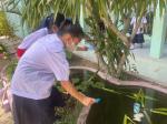 โครงการป้องกันโรคไข้เลือดออก และดำเนินการทำลายแหล่งเพาะพันธ์